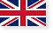 UAE Flag