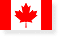 UAE Flag