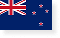 UAE Flag